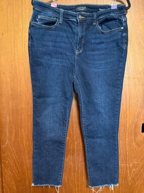 Judy Blue Dark Indigo Ankle Skinny Jeans